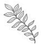 flotheme-icon-pamestla-0000_layer-671