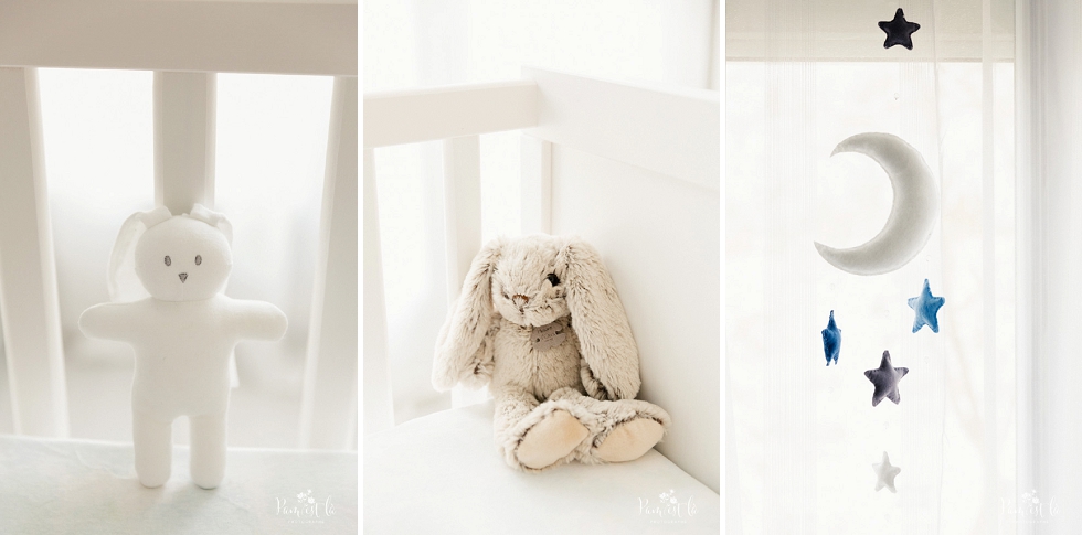 naissance-paul-pamestla-photographe-0034 (2)