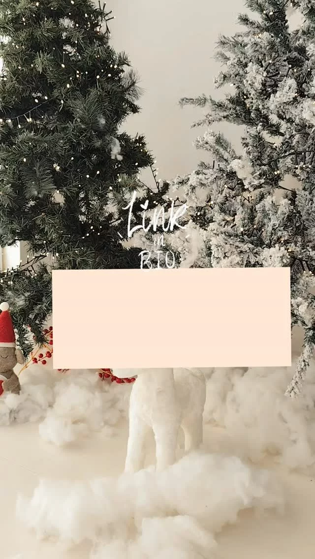 Du 12 au 19 Novembre, le studio vous accueille dans une ambiance Enneigée et féérique.