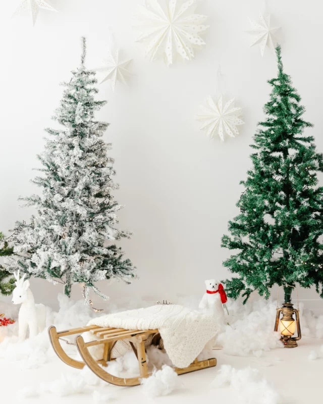 [MINI SEANCES PHOTO DE NOEL] 

Du 12 au 19 Novembre, le studio vous accueille dans un décor enneigé et féérique pour les mini séances de Noël, éditions 2025 !

📷 20 mins de séance photo dans ce joli décor à prix tout doux, pour vous faire plaisir

🎄Venez passer un beau moment avec vos enfants, gardez de beaux souvenirs et préparez les cadeaux de Noël !

❤ Choisissez la formule qui vous convient : fichiers numériques, impressions ou bien les deux !

🎅A partir de 104€ 4 photos HD format Numérique 

⏩Réservation en ligne dès maintenant : 

https://www.pamestla-photographe.fr/reservation-seances-photo-noel/

🎄🎄🎄🎄🎄🎄🎄🎄🎄🎄🎄🎄🎄

#seancephotodenoel #photographe #photosdenoelenstudio #photographetoulouse #toulouse #villedesaintorensdegameville #ideecadeaudenoel